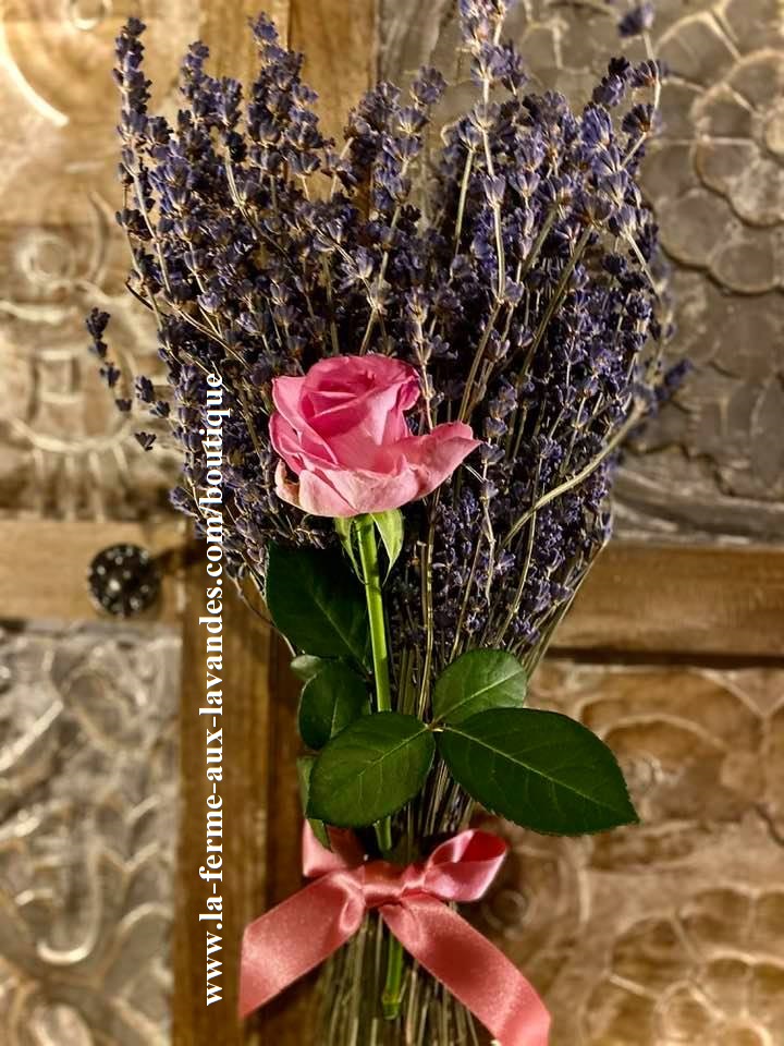 Bouquets de Fleurs de Lavande & de Rose éternelle, Hybride de Thé rose  clair - La Ferme Aux Lavandes
