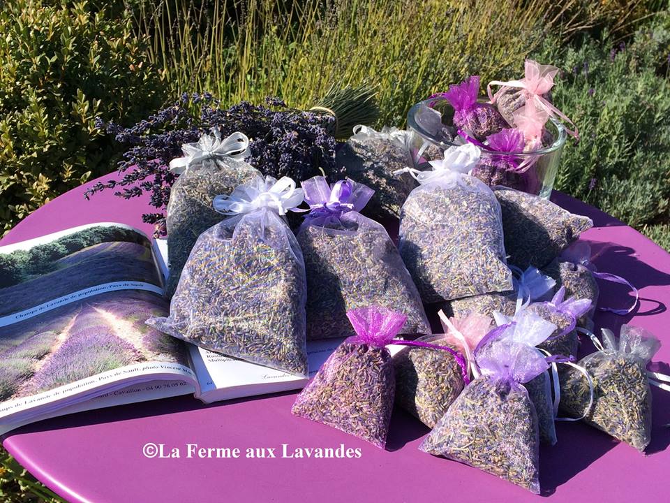 Grands Sachets de Fleurs de Lavande Collection organza - La Ferme Aux  Lavandes